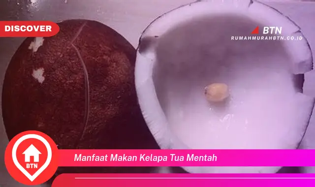 manfaat makan kelapa tua mentah