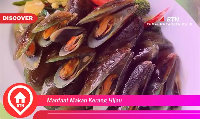 manfaat makan kerang hijau