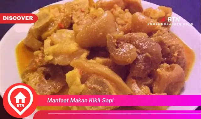 manfaat makan kikil sapi