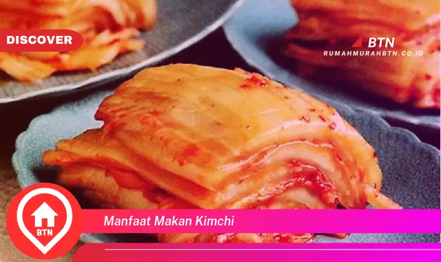 manfaat makan kimchi