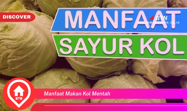 manfaat makan kol mentah