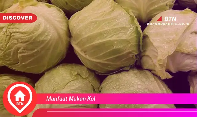 manfaat makan kol