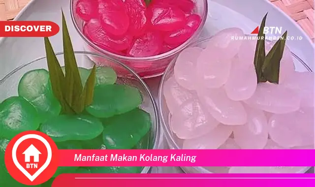 manfaat makan kolang kaling