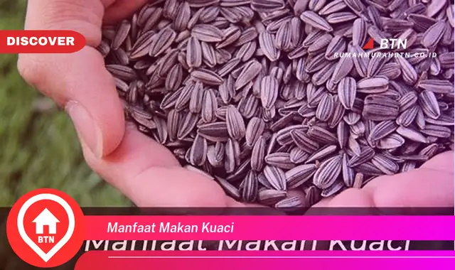 manfaat makan kuaci