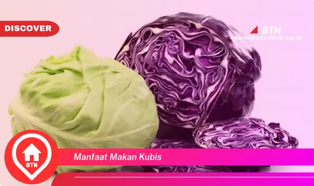 manfaat makan kubis