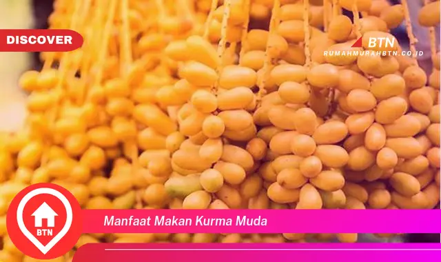 manfaat makan kurma muda