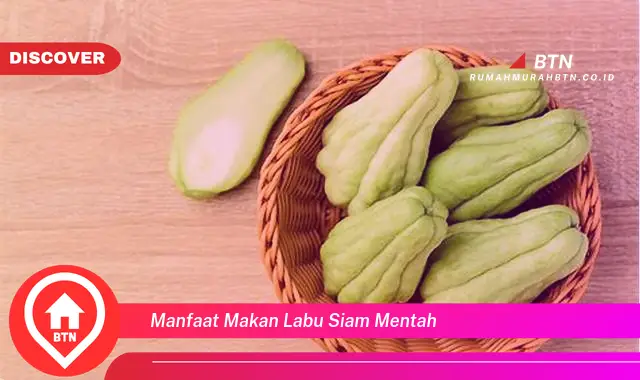 manfaat makan labu siam mentah