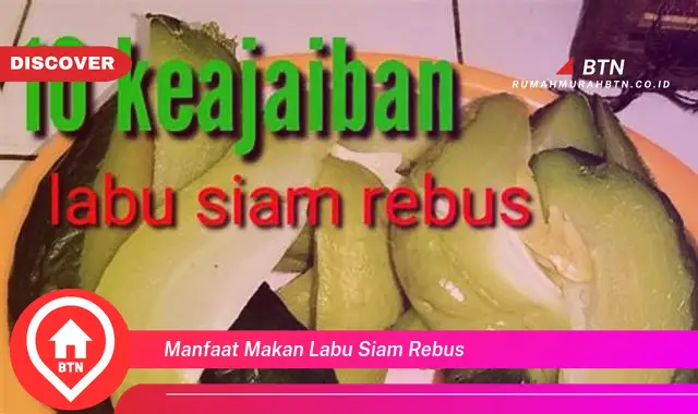 manfaat makan labu siam rebus