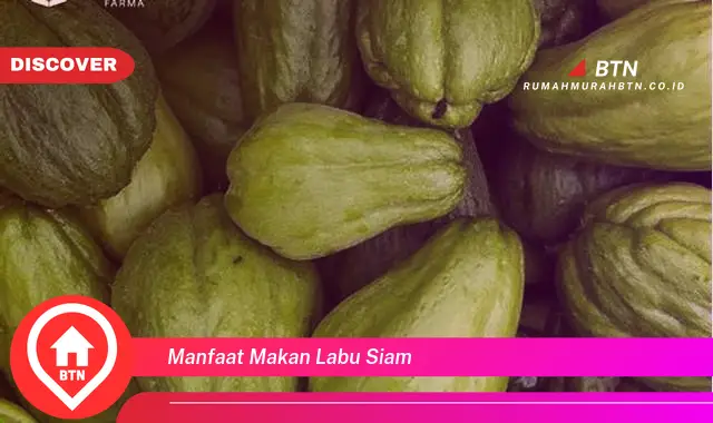 manfaat makan labu siam