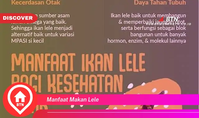 manfaat makan lele