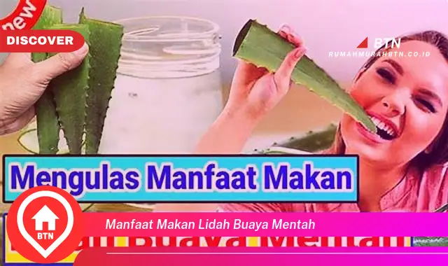 manfaat makan lidah buaya mentah