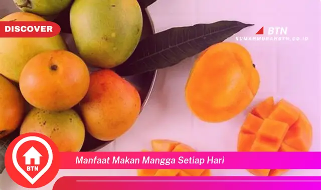 manfaat makan mangga setiap hari