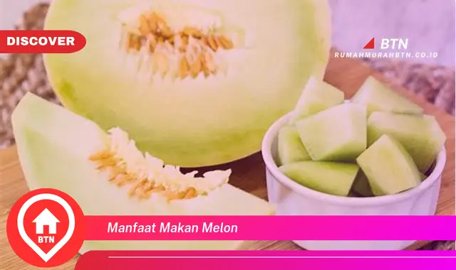 manfaat makan melon