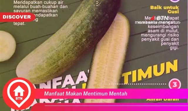 manfaat makan mentimun mentah