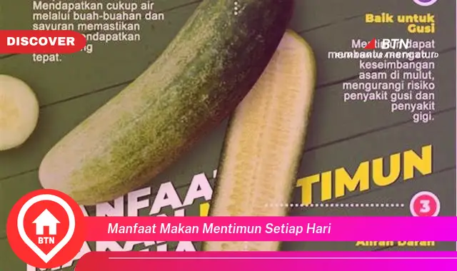 manfaat makan mentimun setiap hari