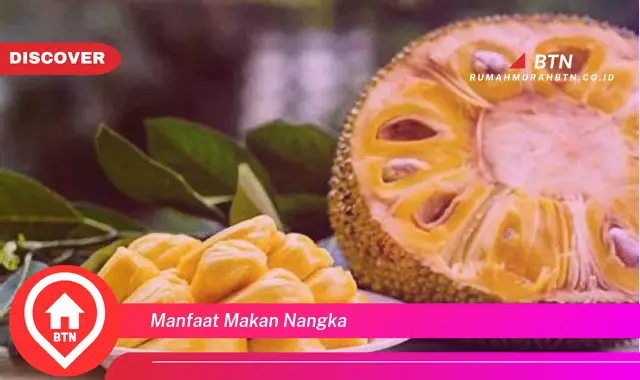 manfaat makan nangka