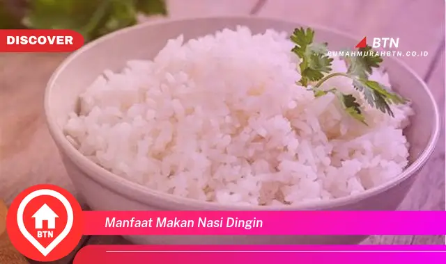 manfaat makan nasi dingin