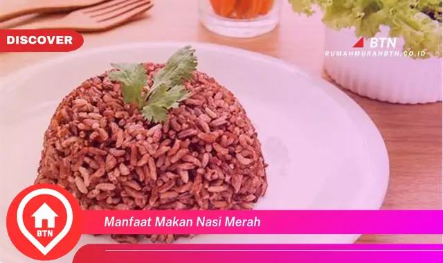 manfaat makan nasi merah