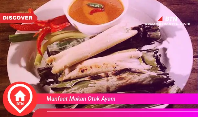 manfaat makan otak ayam