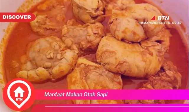 manfaat makan otak sapi