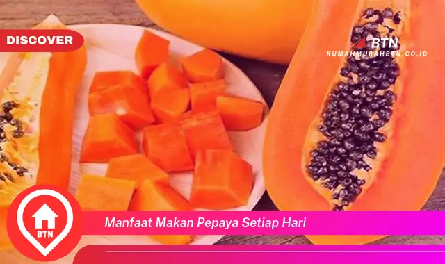 manfaat makan pepaya setiap hari