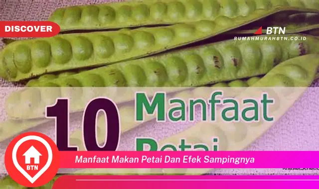 manfaat makan petai dan efek sampingnya