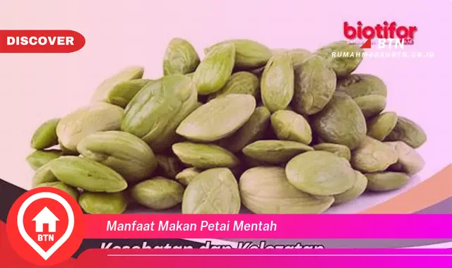 manfaat makan petai mentah