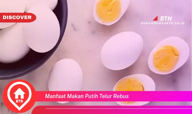 manfaat makan putih telur rebus