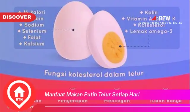 manfaat makan putih telur setiap hari