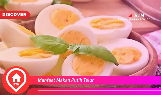 manfaat makan putih telur