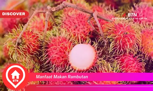 manfaat makan rambutan