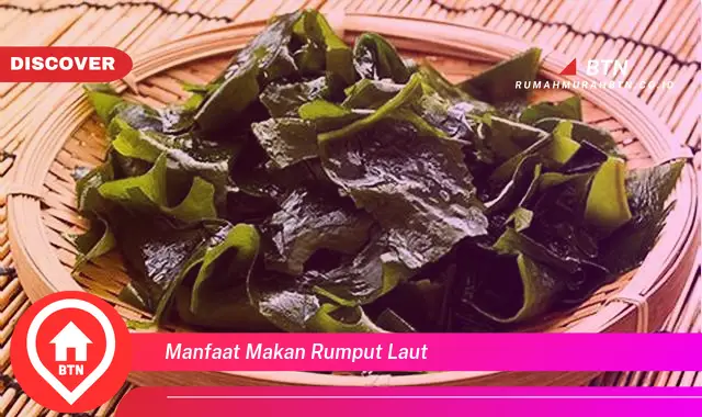 manfaat makan rumput laut