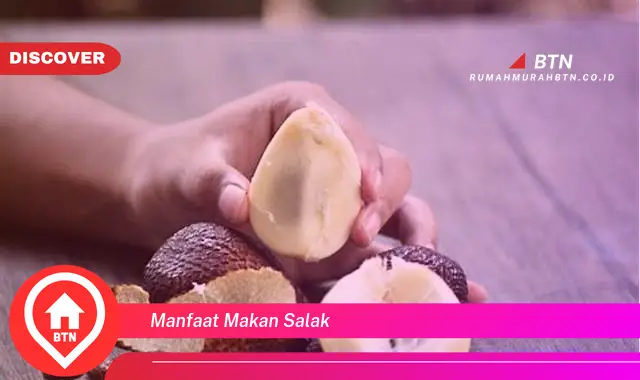 manfaat makan salak