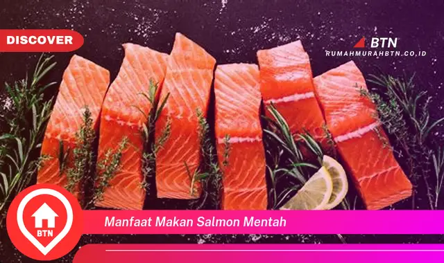 manfaat makan salmon mentah