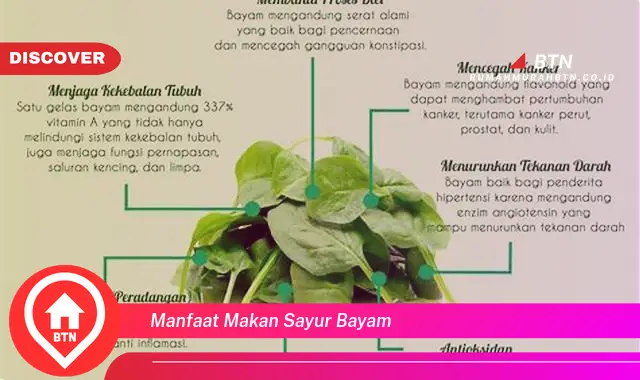 manfaat makan sayur bayam