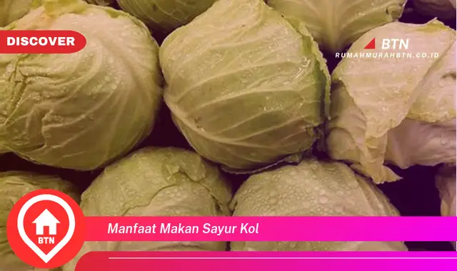 manfaat makan sayur kol