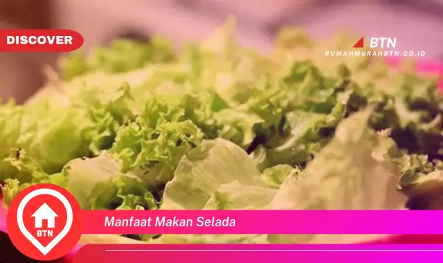 manfaat makan selada