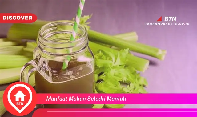 manfaat makan seledri mentah