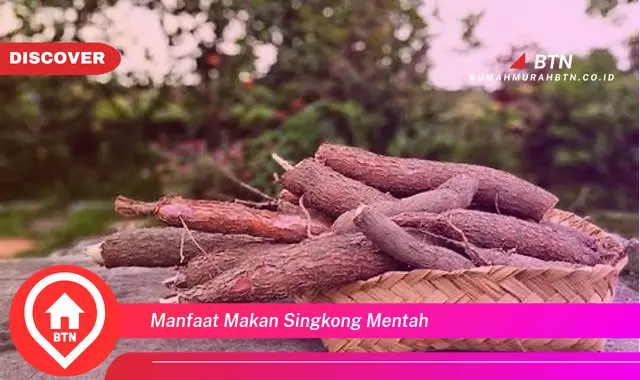 manfaat makan singkong mentah