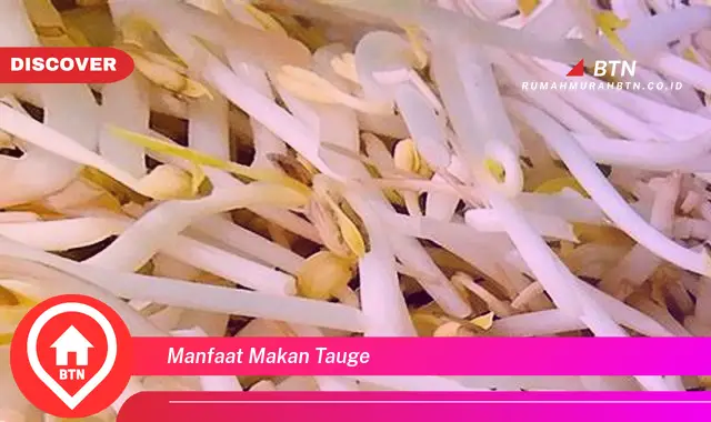 manfaat makan tauge