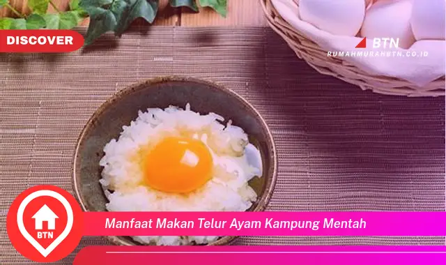 manfaat makan telur ayam kampung mentah