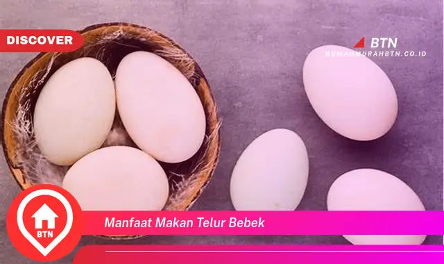 manfaat makan telur bebek