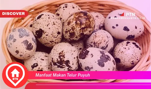 manfaat makan telur puyuh