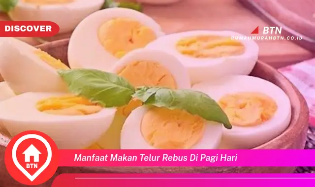 manfaat makan telur rebus di pagi hari