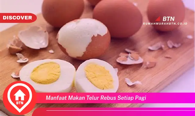 manfaat makan telur rebus setiap pagi