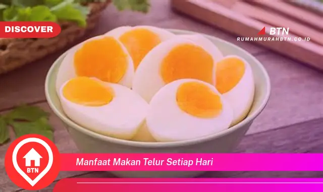 manfaat makan telur setiap hari