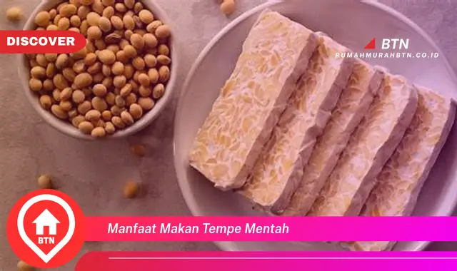 manfaat makan tempe mentah