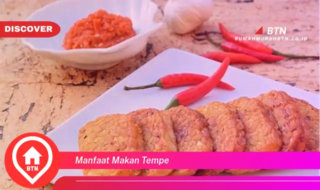 manfaat makan tempe