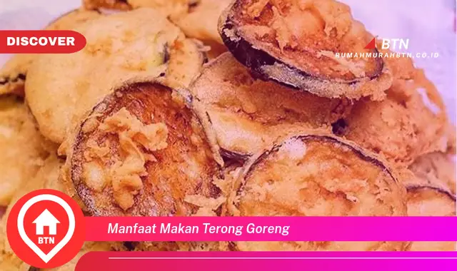 manfaat makan terong goreng