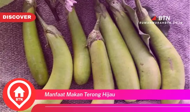 manfaat makan terong hijau